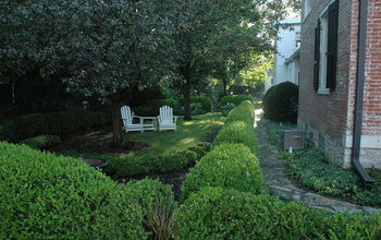 Williamsburg style gardens
