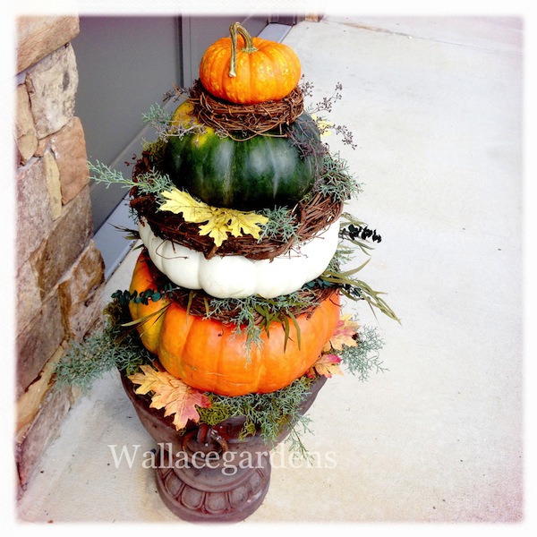 pumpkins on porches pumpkinideas gardenchat, container gardening, gardening, seasonal holiday d cor, How cute is this My inspiration for pumpkin topiaries comes from the very talented garden designer Helen Weis of Unique by Design Landscaping Containers in Oklahoma Thanks Helen PumpkinIdeas PumpkinTopiary
