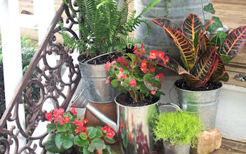 Porch Steps Container Gardens and Accessories