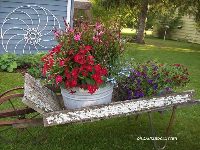 the secret to great junk garden vignettes, flowers, gardening, repurposing upcycling, An old hay rake flower