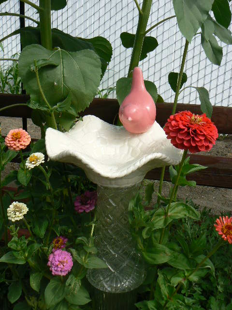 flores de vidro e quintal, Meu pequeno banho de passarinho
