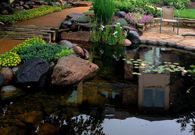 front yard water feature, gardening, outdoor living, ponds water features, A stone slat bridge allows visitors to cross the water feature and get an up close view