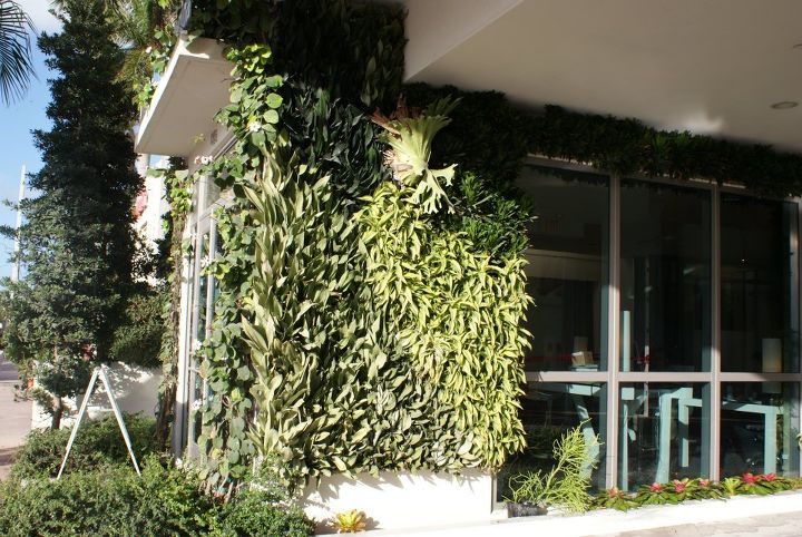 new pictures, gardening, Wall Garden at Marriott at Miami Beach