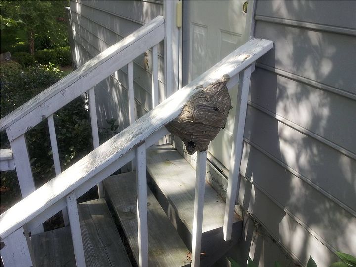 q any tips for removing this wasp s nest close to a home, outdoor living, pest control, A monster wasp nest in Kennnesaw