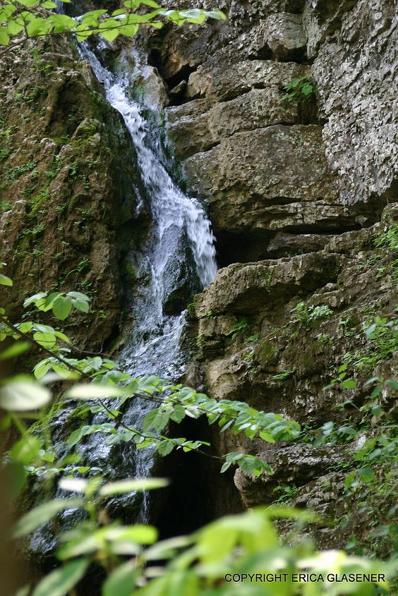 q wildflowers the pocket pigeon mountain read more www ericaglasener com, flowers, gardening, waterfall the pocket