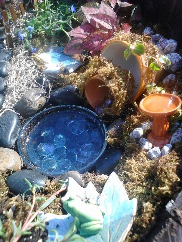 making a fairy garden from objects mostly found at the thrift store, container gardening, crafts, flowers, gardening, repurposing upcycling