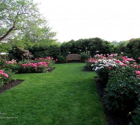 may garden historic goodstay gardens, gardening, Flowerbeds filled with peonies scent the air