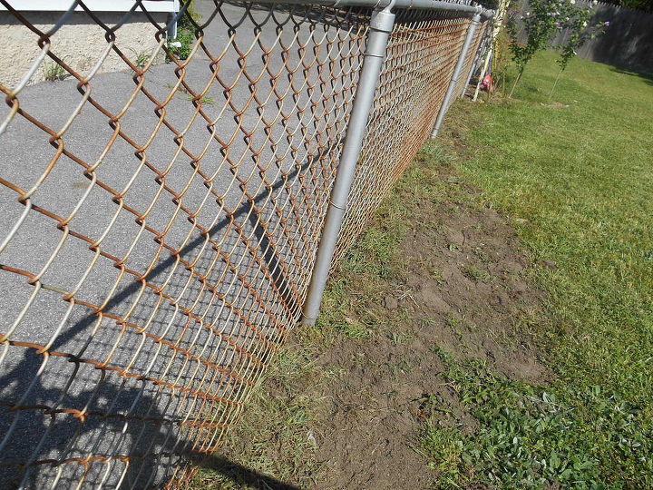 minha cachorra descobriu que podia escapar por baixo da cerca, Coloquei os torr es no lugar deles e os embalei Problema resolvido