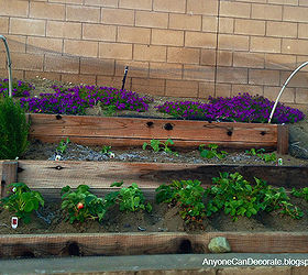 organic weed control for your garden, gardening