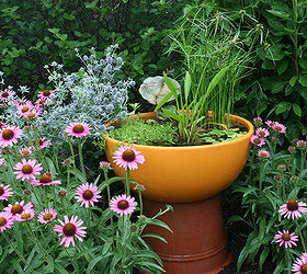 container water gardens, Directions for making this cute container water garden can be found at