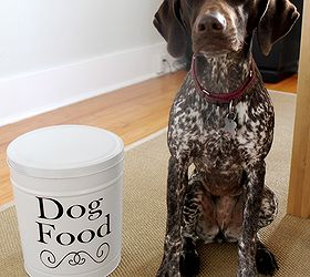 turn that leftover popcorn tin into a dog food bin, organizing, repurposing upcycling, Gracie approves