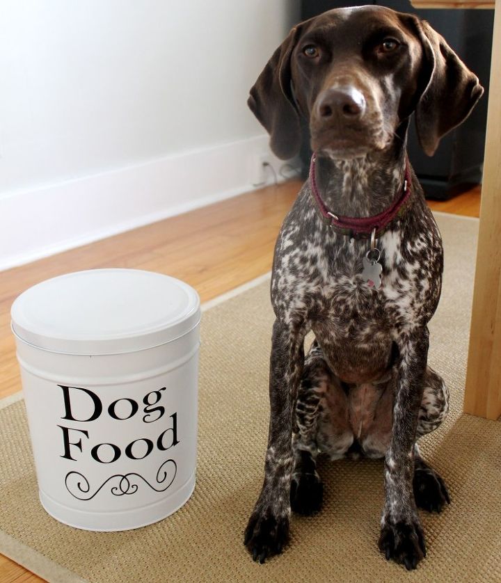transforme a lata de pipoca que sobrou em um recipiente de comida de cachorro, Gracie aprova