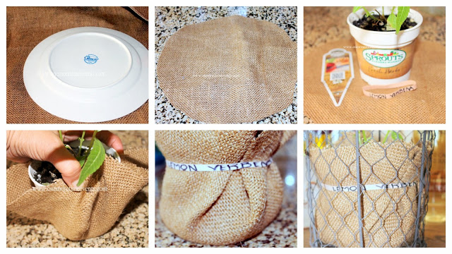burlap rubber bands and herbs, container gardening, crafts, gardening, repurposing upcycling, tutorial on using burlap and rubber bands