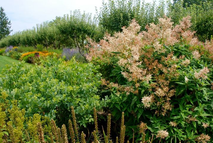 stan hywet s great garden part 2 the cutting garden, flowers, gardening, landscape, One of the many long views down the borders of the Great Garden See Part 1 for more pretty views like this one