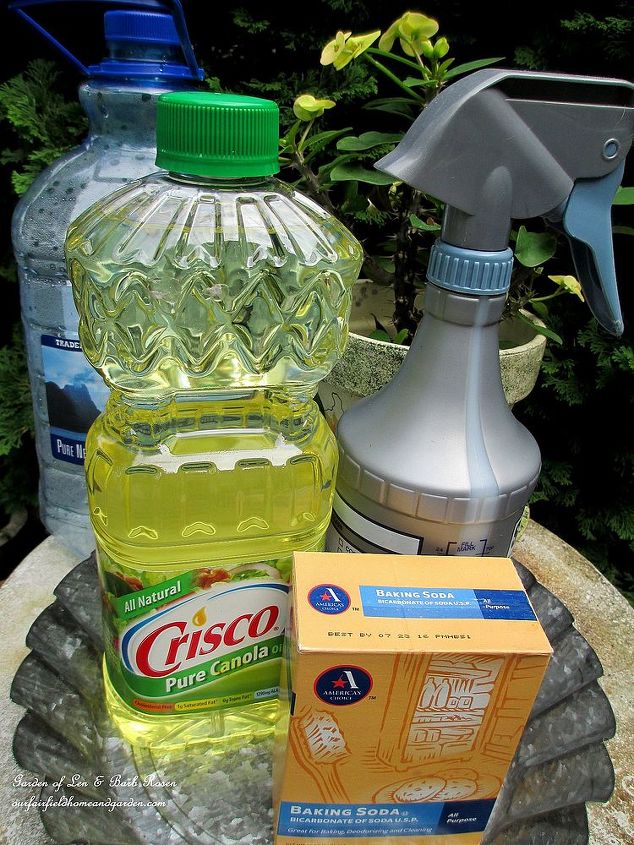 diy tucking the garden in for winter at our fairfield home garden, flowers, gardening, seasonal holiday d cor, Protect your houseplants for pennies using homemade Dormant Oil Spray Get the recipe from my article by clicking on the website link
