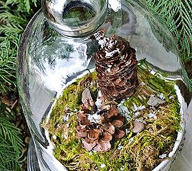 how to make a winter pine cone terrarium, crafts, seasonal holiday decor, terrarium, Cover with a glass dome or cloche and enjoy