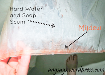 Cleaning The Shower Hometalk