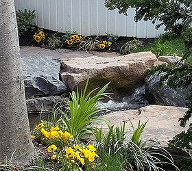 find serenity now with a water garden and patio, decks, flowers, gardening, landscape, outdoor living, patio, ponds water features, A serene duet of flowers and falls