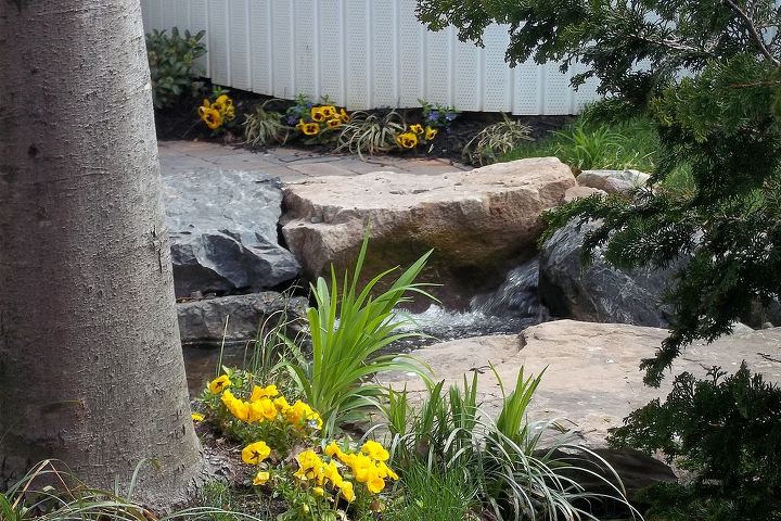 encuentre la serenidad ahora con un jardn acutico y un patio, Un d o sereno de flores y cascadas