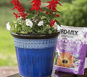 garden tip good soil for beautiful gardens, container gardening, gardening, Create a container for 4th of July with PRO MIX potting mix
