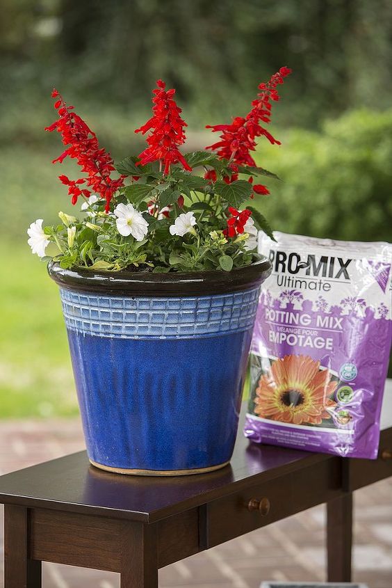 dica de jardinagem bom solo para um belo jardim, Crie um cont iner de 4 de julho com a mistura de envasamento PRO MIX