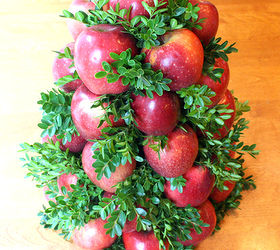 diy apple topiary for the holidays, christmas decorations, crafts, seasonal holiday decor, thanksgiving decorations, Fill the open spaces with your boxwood clippings
