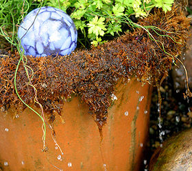 container water gardens, A whimsical dripping pot adds fun to your garden Add a glass globe for visual interest