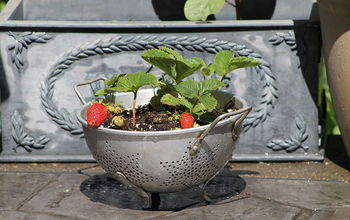 Strawberry Colander Planter