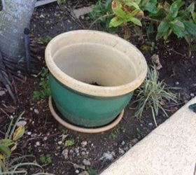 what to do with huge heavy plant pots, gardening, huge heavy plant pot