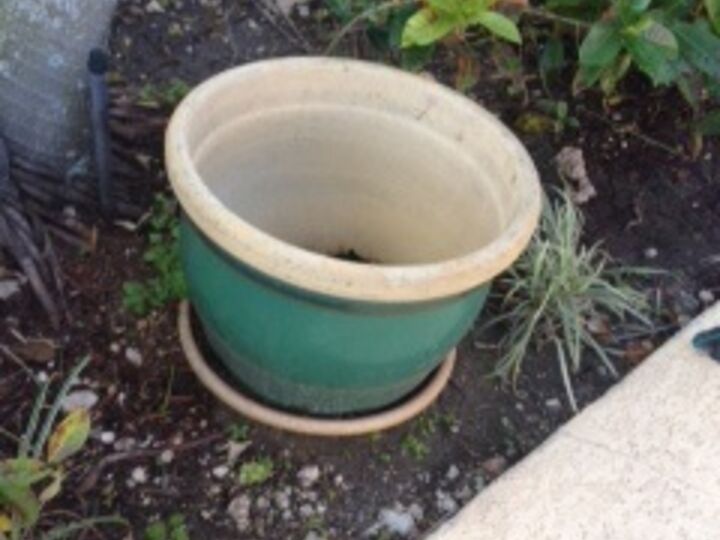 what to do with huge heavy plant pots, gardening, huge heavy plant pot