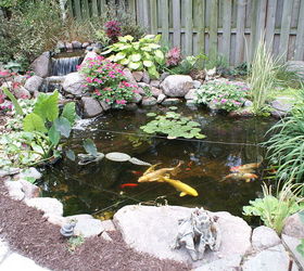ponds, ponds water features, After pond