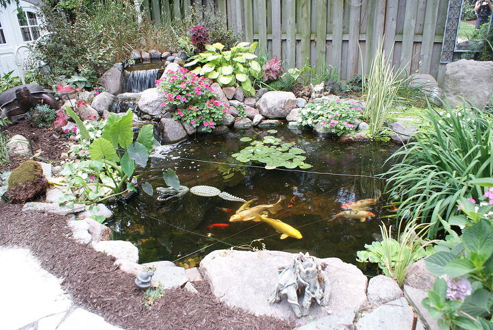 ponds, ponds water features, After pond