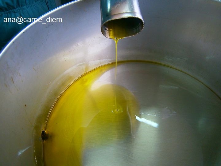 from olives to olive oil, gardening, homesteading, Fresh Olive Oil Olive oil is used almost daily in our diet unambiguous is its nutritional value and in the past it was even used as a means of payment