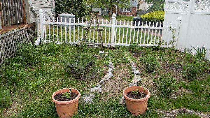 perennial garden update, flowers, gardening, perennials, It s filling in with weeds and lots of good stuff too