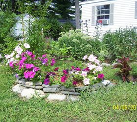 my garden flowers, flowers, gardening