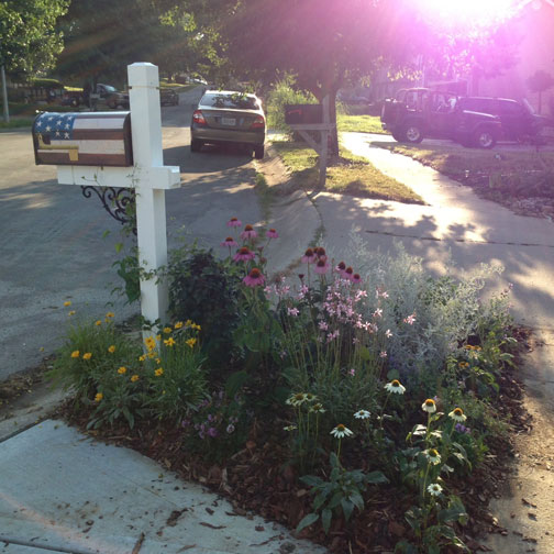 my little slice of mailbox heaven, gardening, My cottage garden mailbox patch