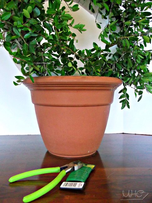 diy boxwood topiary, crafts, gardening, wreaths, A boxwood wreath topiary is easy and inexpensive to make You can leave it natural or preserve it