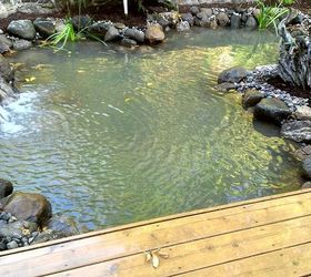 not too late to add a vacation to your backyard like this zero edge water feature, outdoor living, ponds water features, Just waiting on the pond to clear up