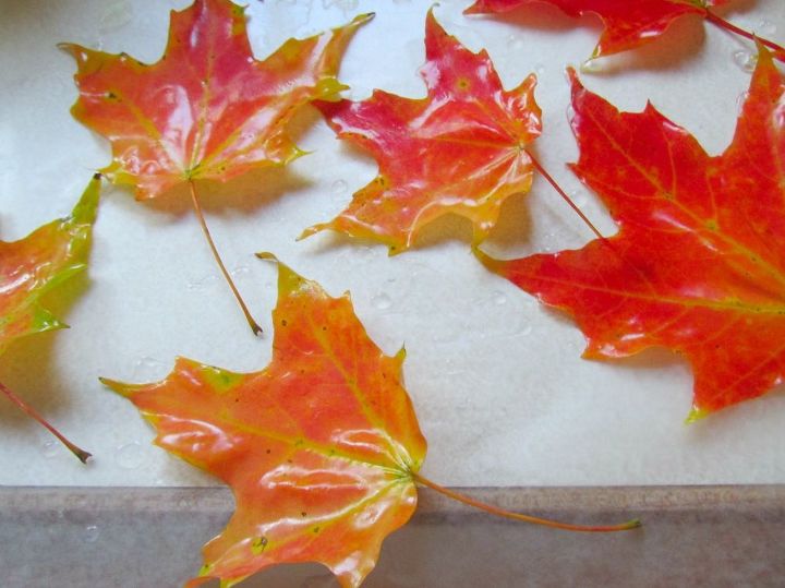 turn fall leaves into small soaps, crafts, gardening, seasonal holiday decor, This is after they were dipped