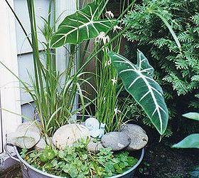 our fairfield home amp garden s most popular posts of 2012 bestof2012, container gardening, flowers, gardening, succulents, Galvanized Water Garden see more at