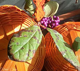a simply beautiful fall porch, porches, seasonal holiday decor, Faux and natural elements add beautiful color to the window box Those purple berries are growing wild right now I just love the vivid color And the rattan orange pumpkins really compliment the purple berries