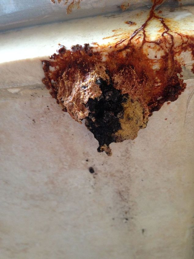 q what is this growing in my shower, bathroom ideas, cleaning tips, home maintenance repairs, Orange in color on the outside very black inside Scary looking