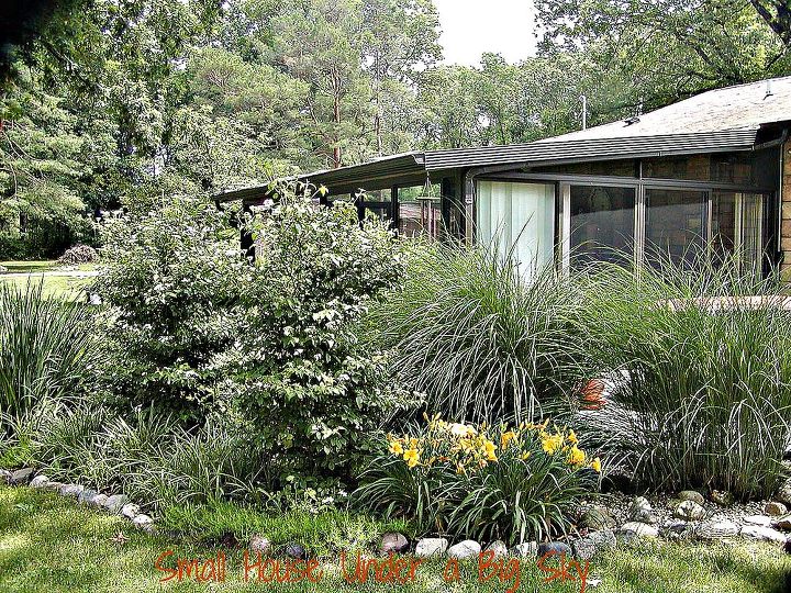 small house under a big sky backyard feeding bed, landscape, outdoor living, perennial, Another view of the bird feeding bed in full bloom