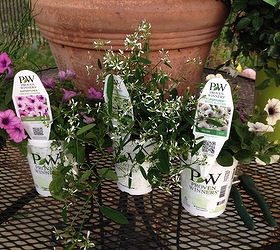 kids mothers day gardening project a proven winner, container gardening, flowers, gardening