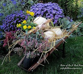 autumn wheelbarrow, container gardening, gardening, home decor