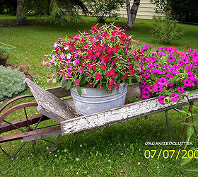 my first and favorite junk garden purchase, flowers, gardening, repurposing upcycling