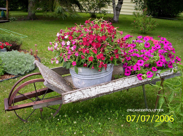 my first and favorite junk garden purchase, flowers, gardening, repurposing upcycling