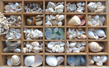 vintage printers tray shells