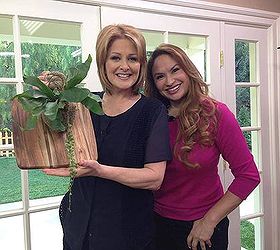 creative staghorn fern displays, Cristina Ferrare host of Home Family and Shirley Bovshow with Shirley s design for Staghorn fern