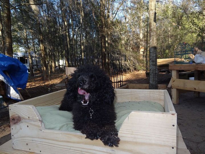 dog bed, diy, pallet, Dog bed from pallet wood for Cocoa Looks like he s ready for a nap